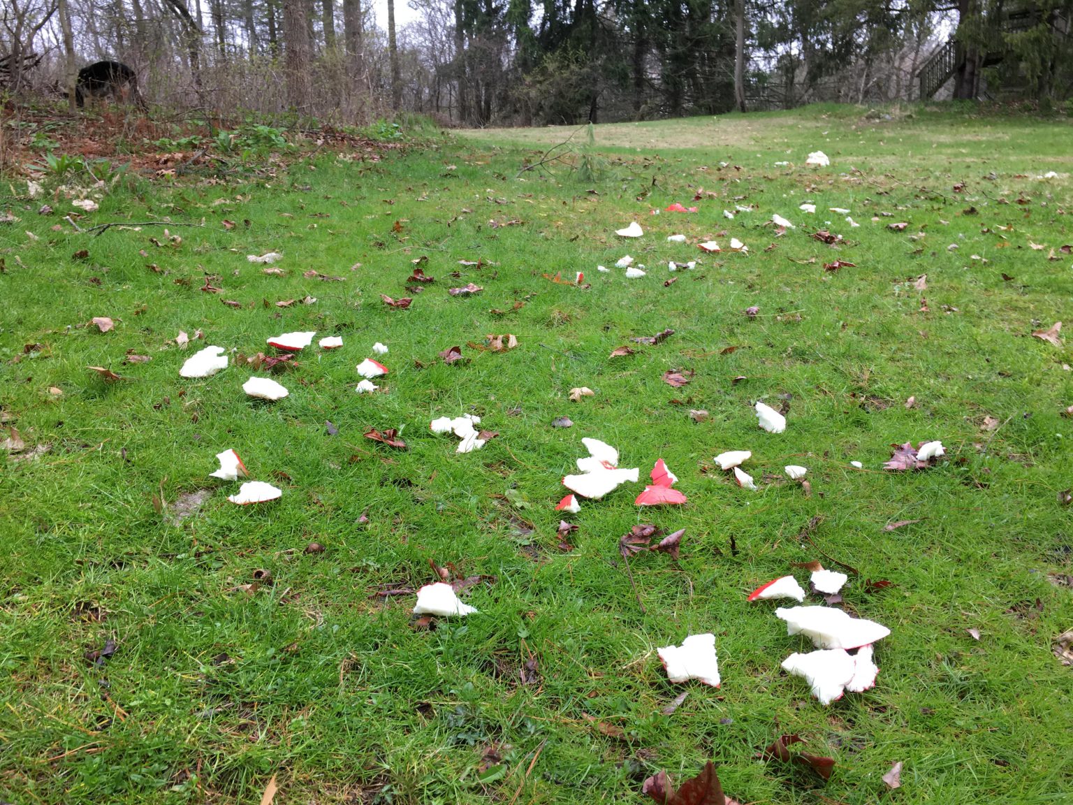 April 2020 – Jochen Metzger